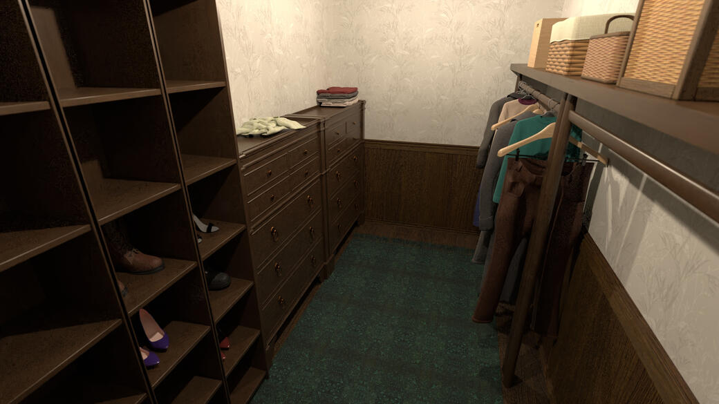 Master Closet 1